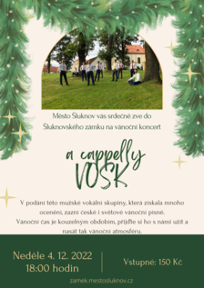 Vánoční koncert ve Šluknovském zámku